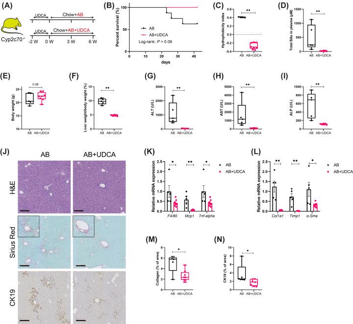 https://cdn.ncbi.nlm.nih.gov/pmc/blobs/543b/10643054/93a4e0e7c2e9/cs-137-cs20230812-g6.jpg