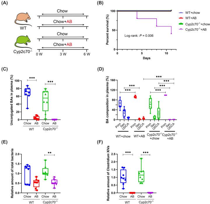https://cdn.ncbi.nlm.nih.gov/pmc/blobs/543b/10643054/ce40909698cb/cs-137-cs20230812-g1.jpg