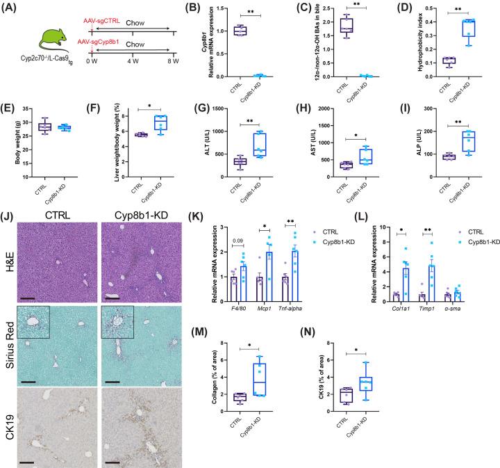 https://cdn.ncbi.nlm.nih.gov/pmc/blobs/543b/10643054/f8954d5e5e65/cs-137-cs20230812-g5.jpg