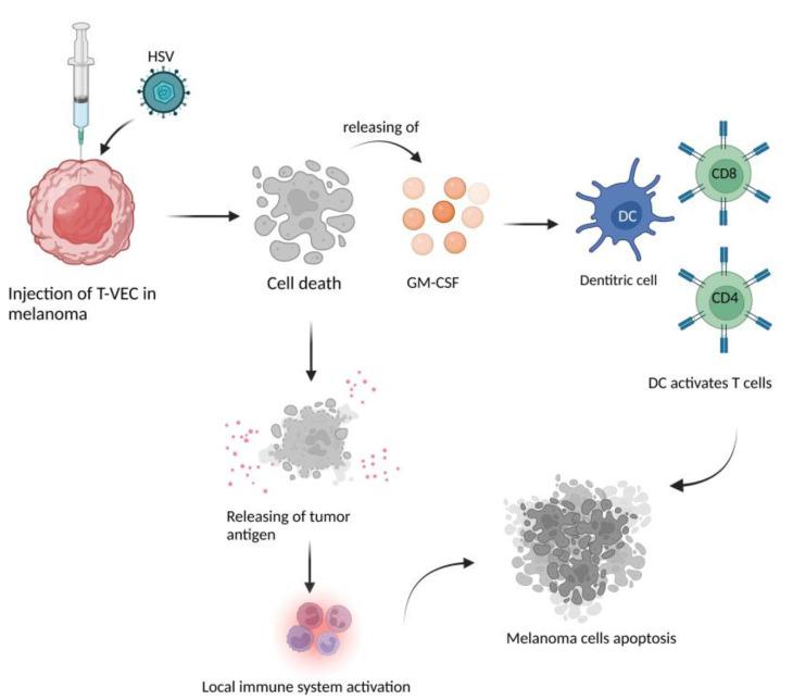 https://cdn.ncbi.nlm.nih.gov/pmc/blobs/543b/9409290/49c7edadeb5f/ijms-23-09327-g003.jpg
