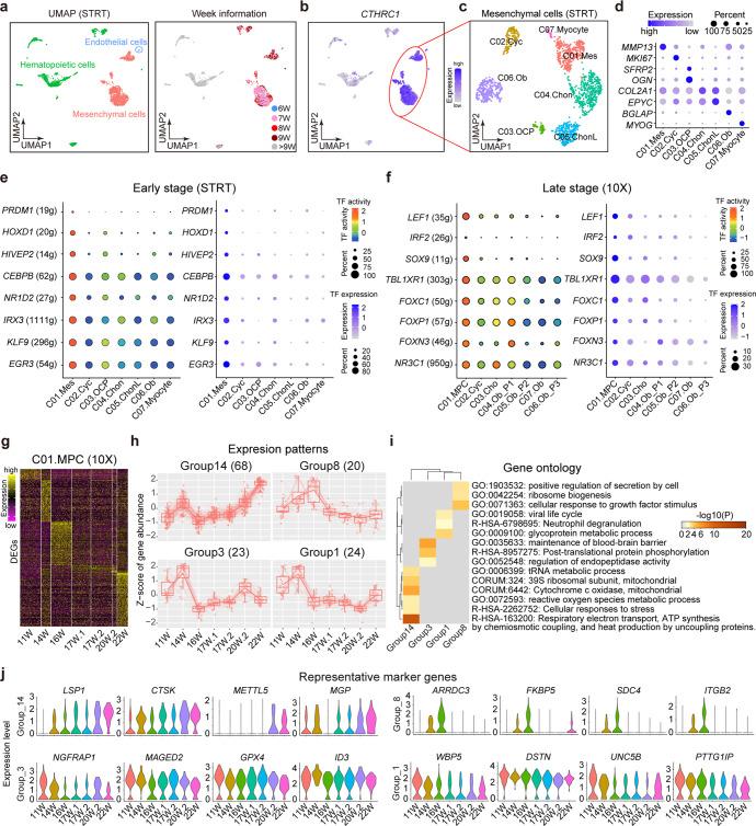 https://cdn.ncbi.nlm.nih.gov/pmc/blobs/543d/10063684/0658630ec60d/41392_2023_1338_Fig3_HTML.jpg