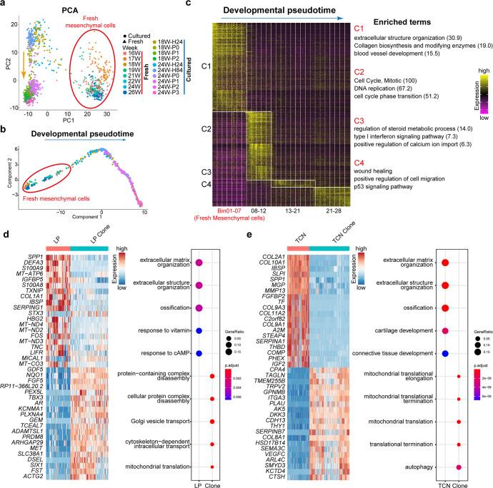 https://cdn.ncbi.nlm.nih.gov/pmc/blobs/543d/10063684/50f466c82b0a/41392_2023_1338_Fig6_HTML.jpg