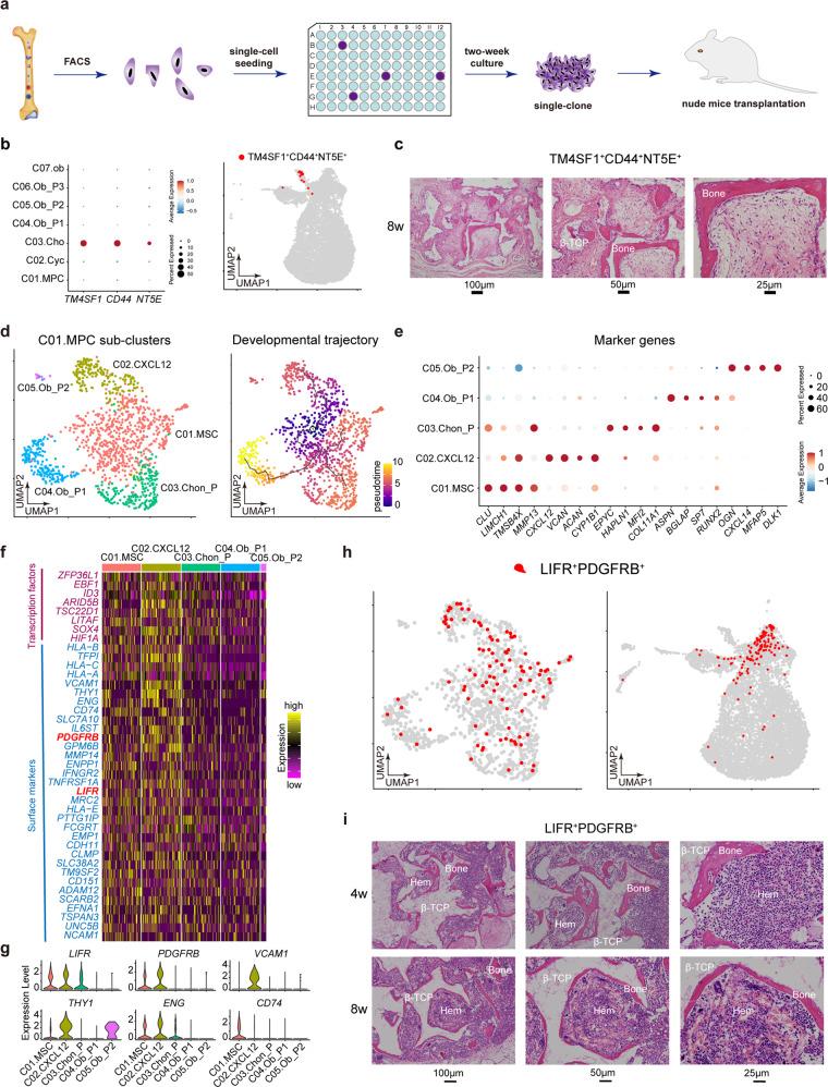 https://cdn.ncbi.nlm.nih.gov/pmc/blobs/543d/10063684/df894812b712/41392_2023_1338_Fig2_HTML.jpg
