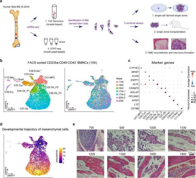 https://cdn.ncbi.nlm.nih.gov/pmc/blobs/543d/10063684/ffa68cd2a688/41392_2023_1338_Fig1_HTML.jpg