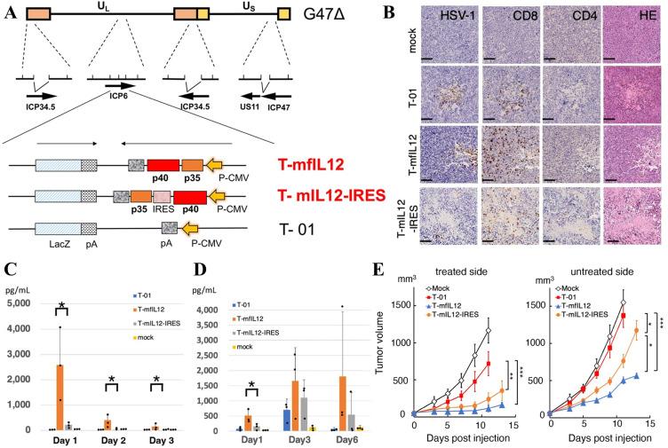 https://cdn.ncbi.nlm.nih.gov/pmc/blobs/543d/12333633/807460ef6584/CMAR-17-1537-g0002.jpg