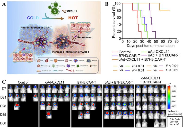 https://cdn.ncbi.nlm.nih.gov/pmc/blobs/543d/12333633/93a134df0a9e/CMAR-17-1537-g0005.jpg