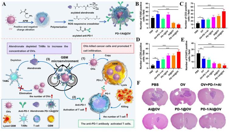 https://cdn.ncbi.nlm.nih.gov/pmc/blobs/543d/12333633/e4d3d51bee50/CMAR-17-1537-g0003.jpg