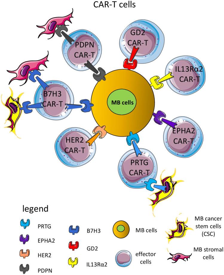 https://cdn.ncbi.nlm.nih.gov/pmc/blobs/543f/12267187/340bd25407a4/fimmu-16-1602930-g006.jpg