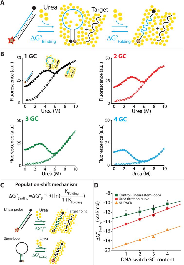 https://cdn.ncbi.nlm.nih.gov/pmc/blobs/5440/5737623/4a1fc99154f6/gkx498fig5.jpg
