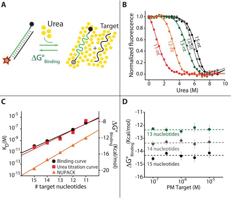 https://cdn.ncbi.nlm.nih.gov/pmc/blobs/5440/5737623/519a96b8e38a/gkx498fig3.jpg