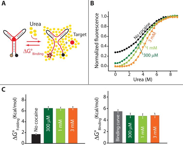 https://cdn.ncbi.nlm.nih.gov/pmc/blobs/5440/5737623/cf3e96802ac3/gkx498fig4.jpg