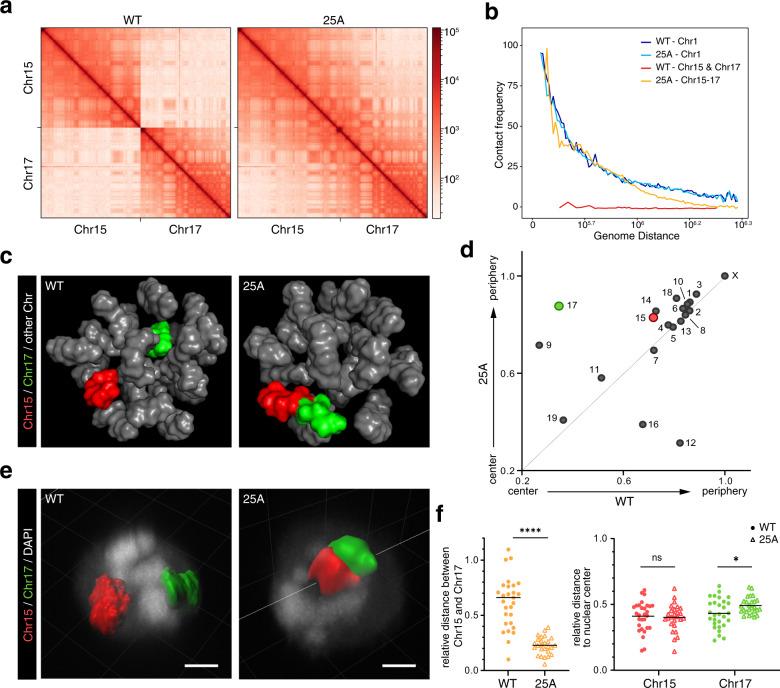 https://cdn.ncbi.nlm.nih.gov/pmc/blobs/5441/9873915/6e4d80b4d710/41421_2022_511_Fig2_HTML.jpg