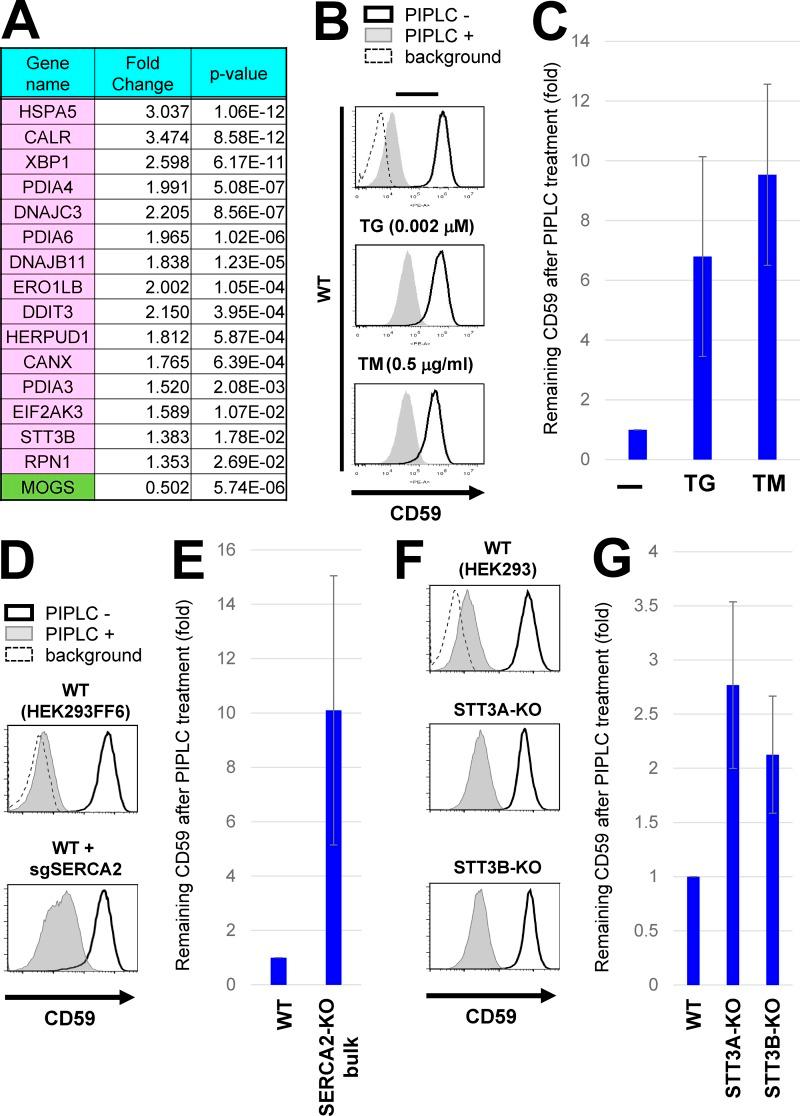 https://cdn.ncbi.nlm.nih.gov/pmc/blobs/5442/5800811/909c6eded498/JCB_201706135_Fig5.jpg