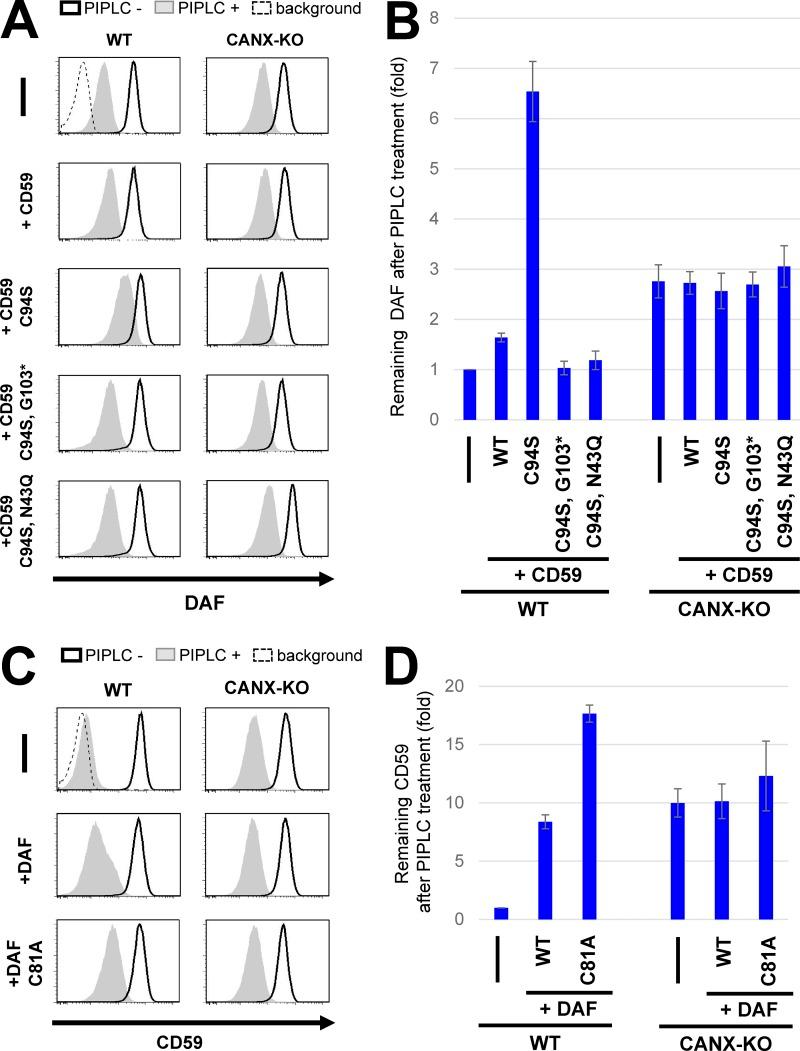 https://cdn.ncbi.nlm.nih.gov/pmc/blobs/5442/5800811/e437a178cdfb/JCB_201706135_Fig6.jpg