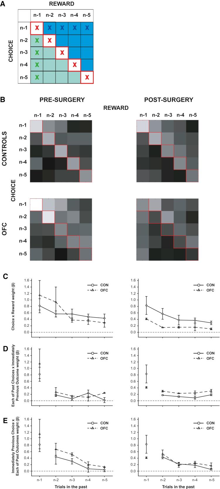 https://cdn.ncbi.nlm.nih.gov/pmc/blobs/5445/3566584/17cf8ddf314e/gr5.jpg