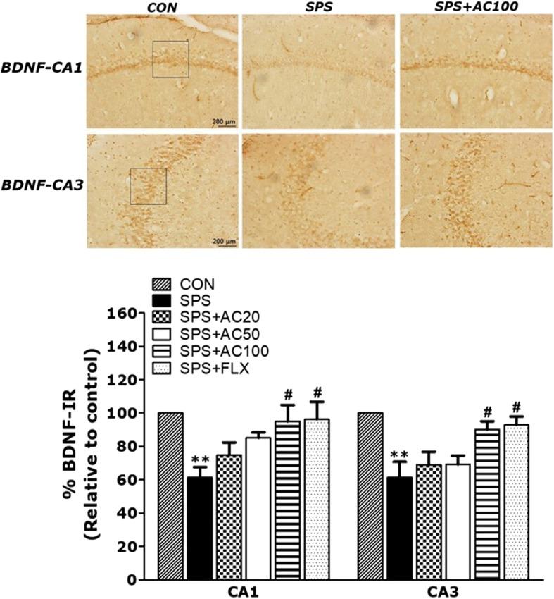 https://cdn.ncbi.nlm.nih.gov/pmc/blobs/5446/6323859/f49e086ca6c2/12906_2018_2417_Fig7_HTML.jpg
