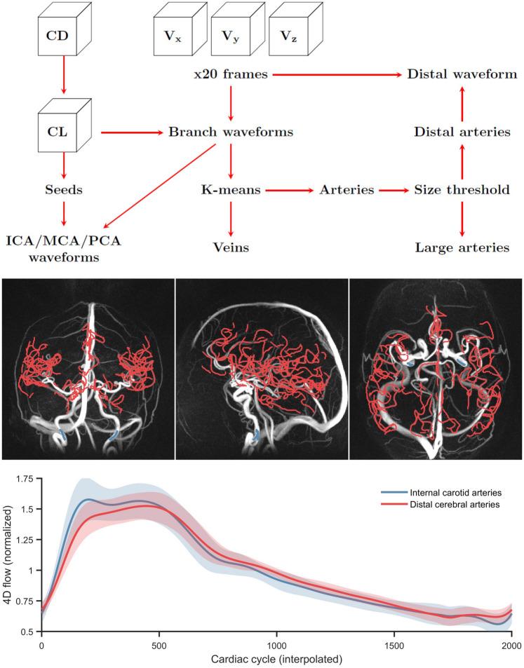 https://cdn.ncbi.nlm.nih.gov/pmc/blobs/5447/11222381/ba98d3f5d4ab/41598_2024_65944_Fig2_HTML.jpg