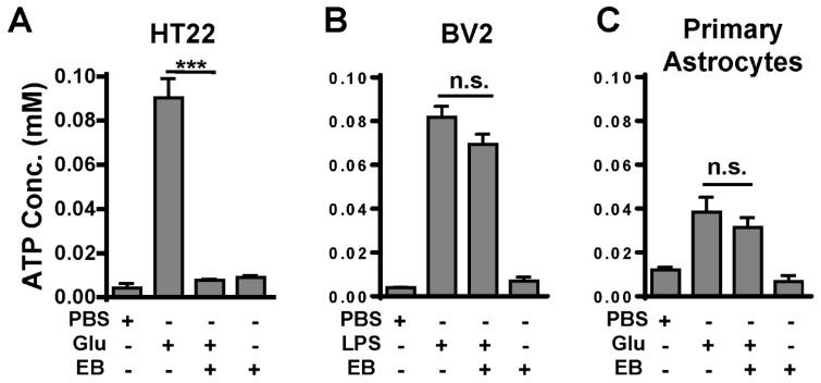 https://cdn.ncbi.nlm.nih.gov/pmc/blobs/5447/6770806/32eaeb88b0b6/ijms-20-04443-g005.jpg