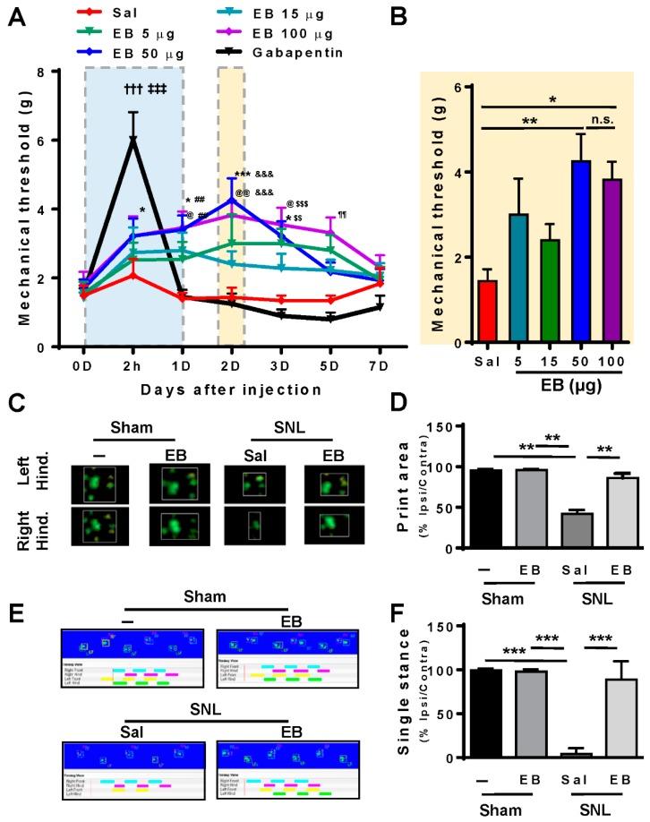 https://cdn.ncbi.nlm.nih.gov/pmc/blobs/5447/6770806/a87c2c45dff4/ijms-20-04443-g002.jpg