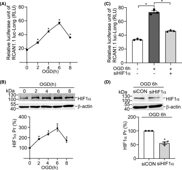 https://cdn.ncbi.nlm.nih.gov/pmc/blobs/5447/9532900/8a3067bb0cc6/CNS-28-1814-g004.jpg