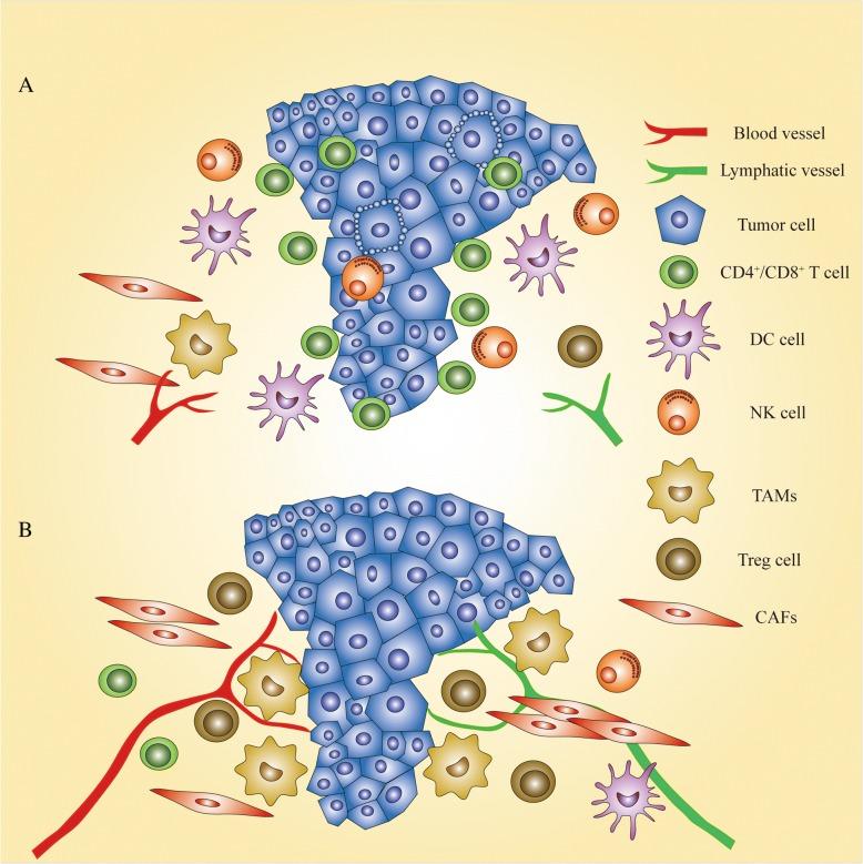 https://cdn.ncbi.nlm.nih.gov/pmc/blobs/5448/6151070/1cb64f44db5b/12885_2018_4806_Fig6_HTML.jpg