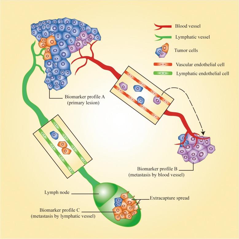 https://cdn.ncbi.nlm.nih.gov/pmc/blobs/5448/6151070/e788ffee49a2/12885_2018_4806_Fig4_HTML.jpg