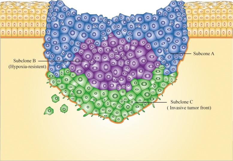 https://cdn.ncbi.nlm.nih.gov/pmc/blobs/5448/6151070/f9a1766bb3d6/12885_2018_4806_Fig3_HTML.jpg