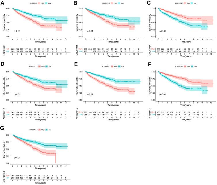 https://cdn.ncbi.nlm.nih.gov/pmc/blobs/5448/8942346/4c29e89a41ed/IJGM-15-3215-g0004.jpg
