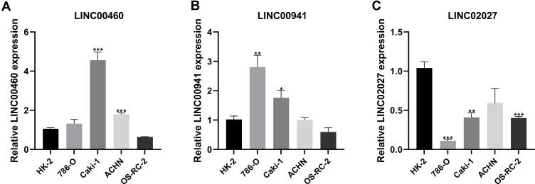 https://cdn.ncbi.nlm.nih.gov/pmc/blobs/5448/8942346/81753aceb7fe/IJGM-15-3215-g0013.jpg