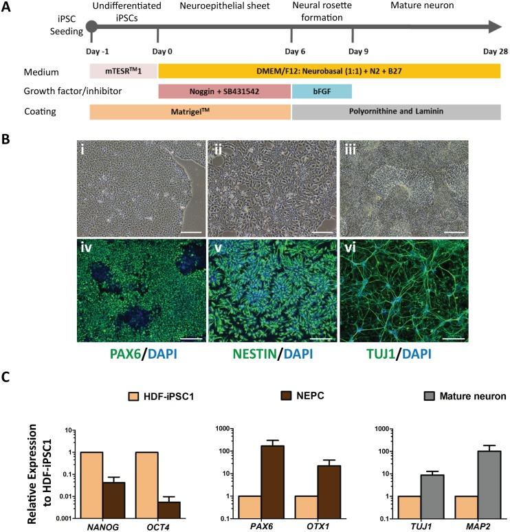 https://cdn.ncbi.nlm.nih.gov/pmc/blobs/5449/4160199/4e7736388e8f/pone.0106952.g003.jpg