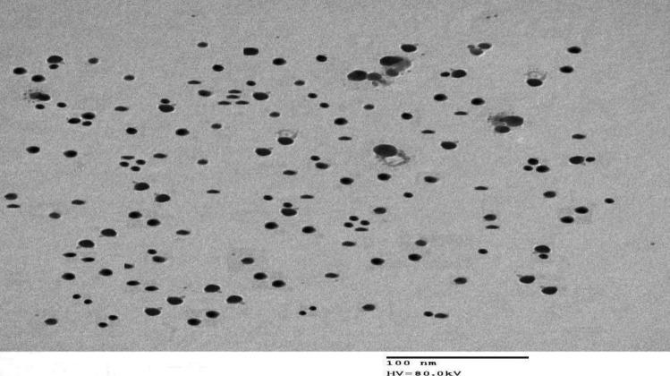 https://cdn.ncbi.nlm.nih.gov/pmc/blobs/544a/9402737/37aa7de95570/10895_2022_2942_Fig7_HTML.jpg