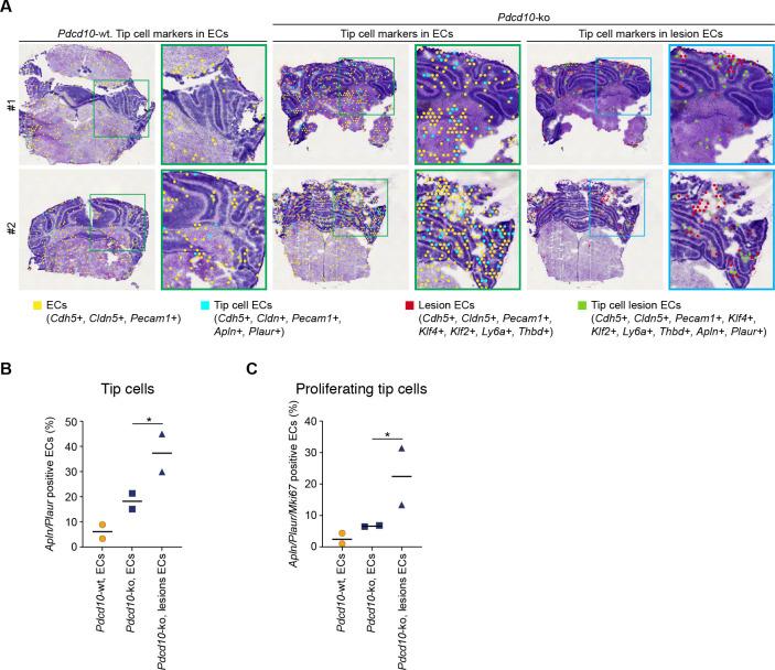 https://cdn.ncbi.nlm.nih.gov/pmc/blobs/544c/7609066/850e980085fd/elife-61413-fig5-figsupp1.jpg