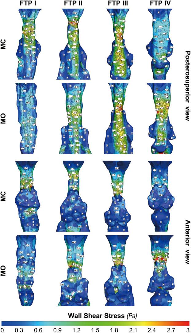 https://cdn.ncbi.nlm.nih.gov/pmc/blobs/544e/9868155/184fd6ddbb4f/fbioe-10-1081465-g008.jpg