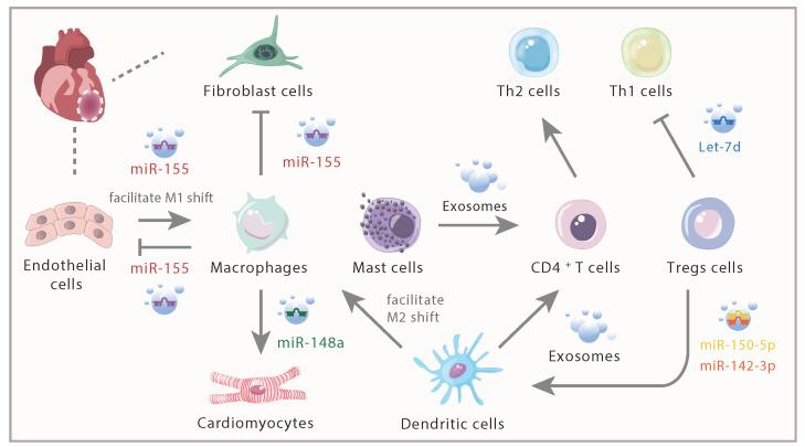 https://cdn.ncbi.nlm.nih.gov/pmc/blobs/5450/7738892/f77f5e6c4c57/thnov11p1046g003.jpg