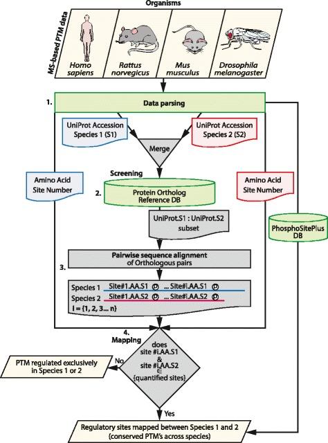 https://cdn.ncbi.nlm.nih.gov/pmc/blobs/5454/4539857/a83b26c9f9d4/12864_2015_1820_Fig3_HTML.jpg
