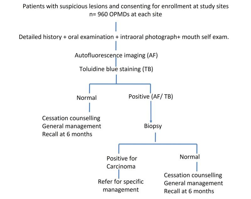 https://cdn.ncbi.nlm.nih.gov/pmc/blobs/5457/12159550/048d568fc041/resprot_v14i1e66285_fig1.jpg