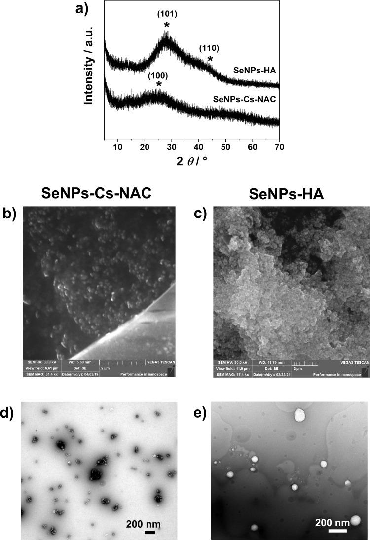 https://cdn.ncbi.nlm.nih.gov/pmc/blobs/5458/11663997/eea93b8cde07/IJN-19-13485-g0003.jpg