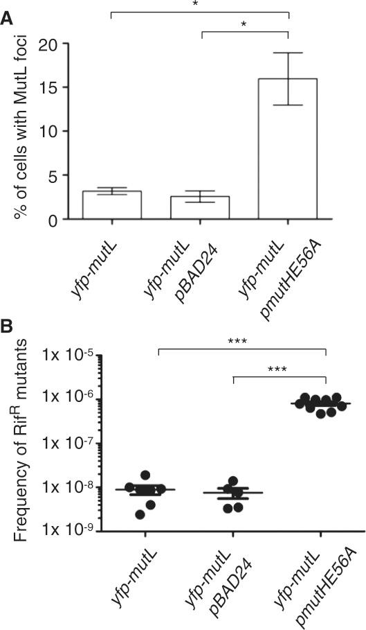 https://cdn.ncbi.nlm.nih.gov/pmc/blobs/5458/3351158/2e320a44bd30/gkr1298f4.jpg