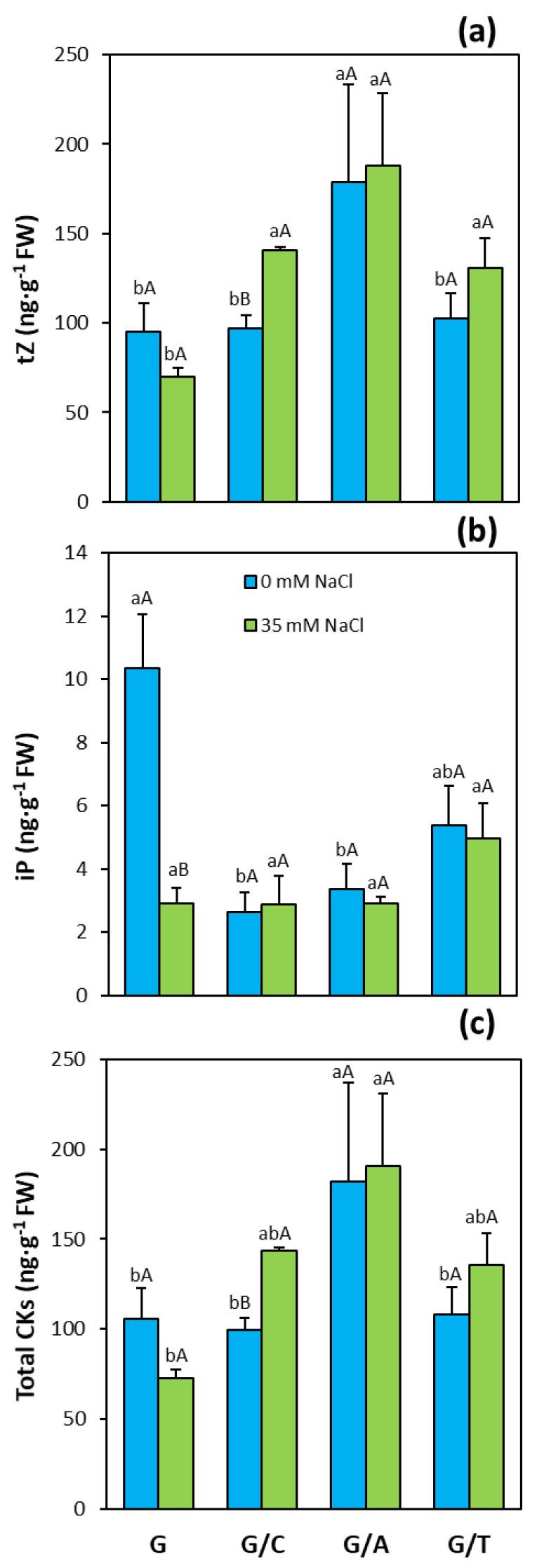 https://cdn.ncbi.nlm.nih.gov/pmc/blobs/5458/8037536/b406b4777137/ijms-22-03297-g004.jpg