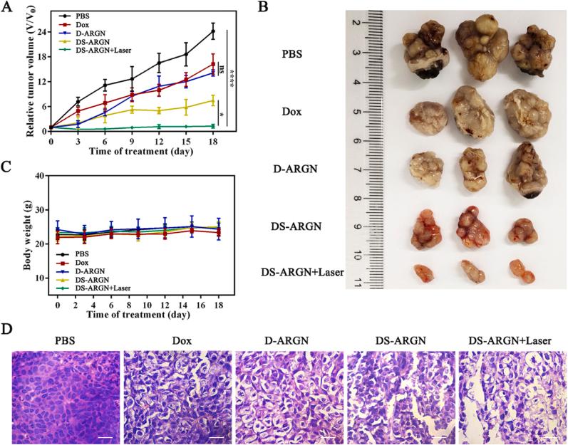 https://cdn.ncbi.nlm.nih.gov/pmc/blobs/5459/11999372/a6d81436be1d/gr6.jpg