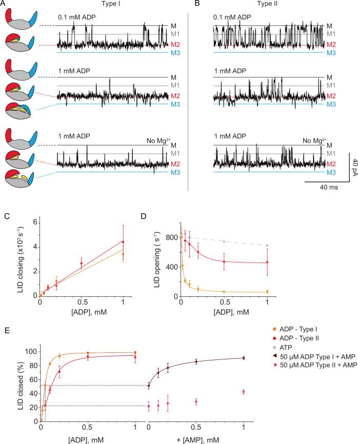 https://cdn.ncbi.nlm.nih.gov/pmc/blobs/545a/11582565/6bf456d846ce/41467_2024_54421_Fig4_HTML.jpg