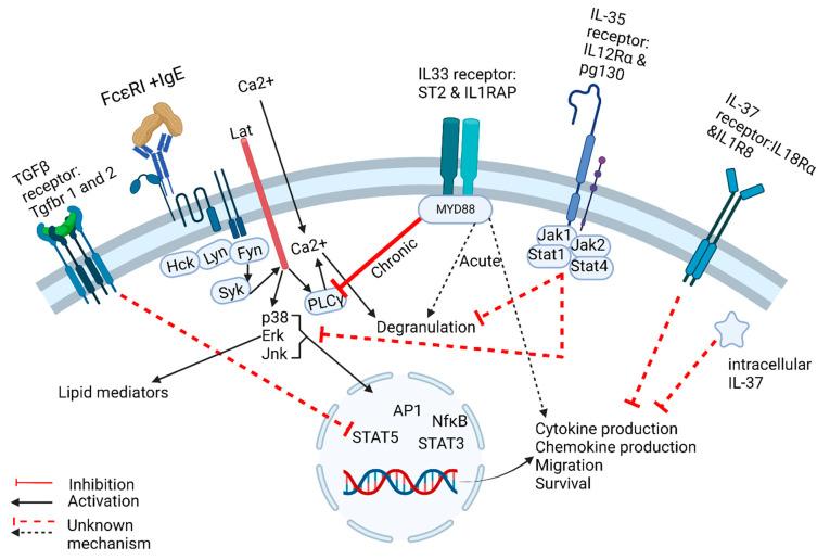 https://cdn.ncbi.nlm.nih.gov/pmc/blobs/545a/9503477/581030a66bb5/ijms-23-10864-g002.jpg