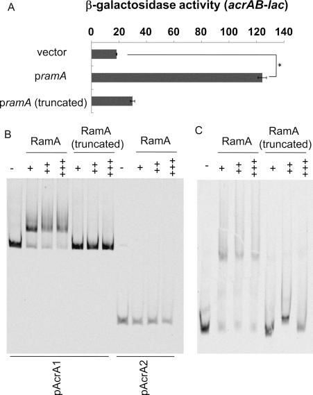 https://cdn.ncbi.nlm.nih.gov/pmc/blobs/545c/2527123/b0c0df253072/zbc0370847740006.jpg