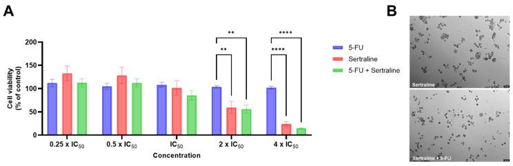 https://cdn.ncbi.nlm.nih.gov/pmc/blobs/545c/9599050/7008b5cfd081/biomolecules-12-01513-g004.jpg