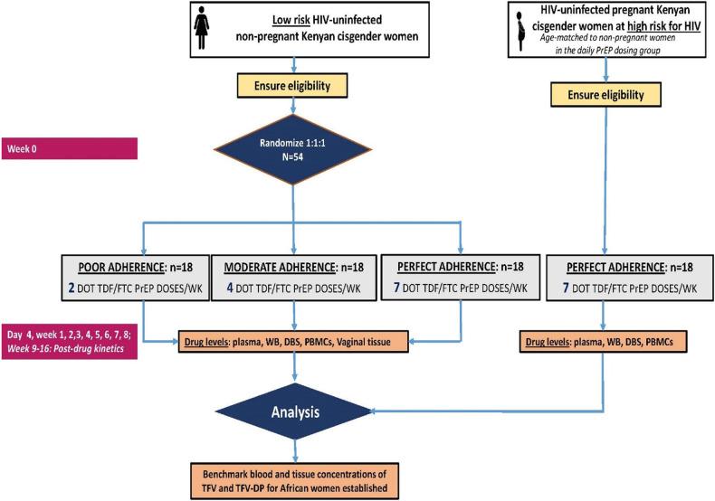 https://cdn.ncbi.nlm.nih.gov/pmc/blobs/545d/11163076/6e2e72885031/frph-06-1325257-g001.jpg