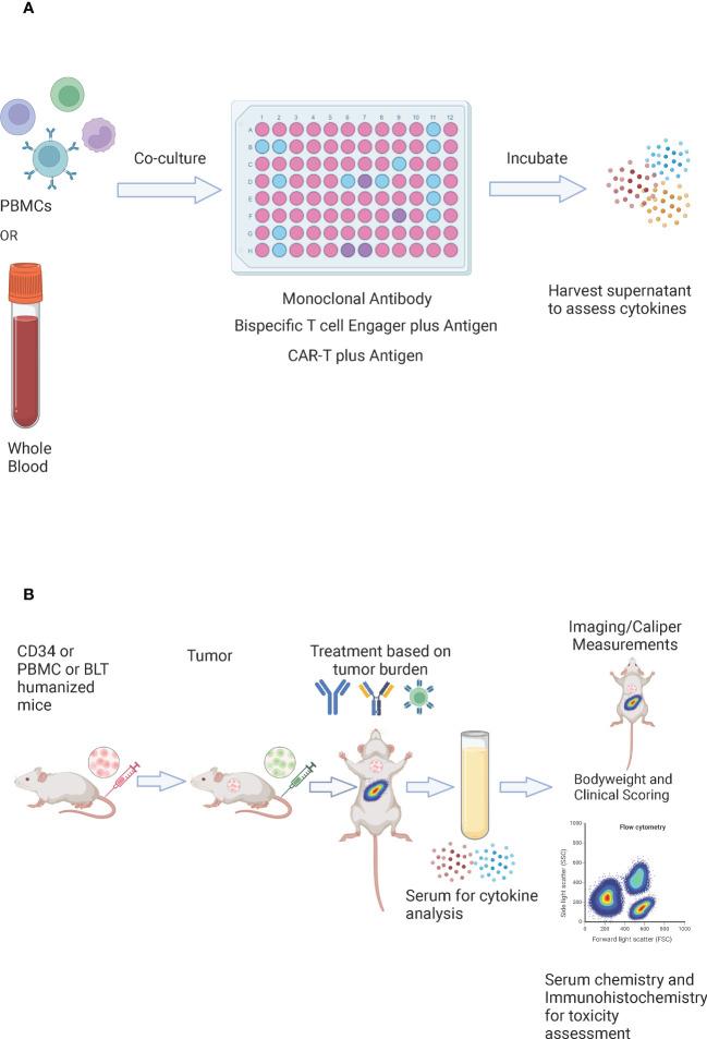 https://cdn.ncbi.nlm.nih.gov/pmc/blobs/545e/10248525/c6f2f596e0c7/fimmu-14-1190379-g005.jpg