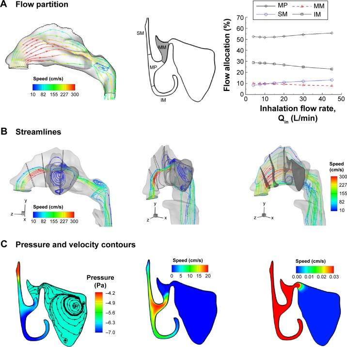 https://cdn.ncbi.nlm.nih.gov/pmc/blobs/545f/4525801/2d7868e3a054/ijn-10-4847Fig2.jpg