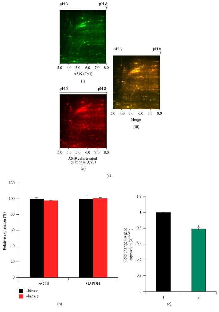 https://cdn.ncbi.nlm.nih.gov/pmc/blobs/545f/5435908/51c8810375ac/BMRI2017-5279065.002.jpg