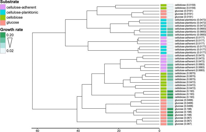 https://cdn.ncbi.nlm.nih.gov/pmc/blobs/5461/6204037/c242cda75280/13068_2018_1290_Fig2_HTML.jpg