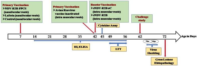 https://cdn.ncbi.nlm.nih.gov/pmc/blobs/5461/6789743/89a0366d76f5/pathogens-08-00145-g003.jpg